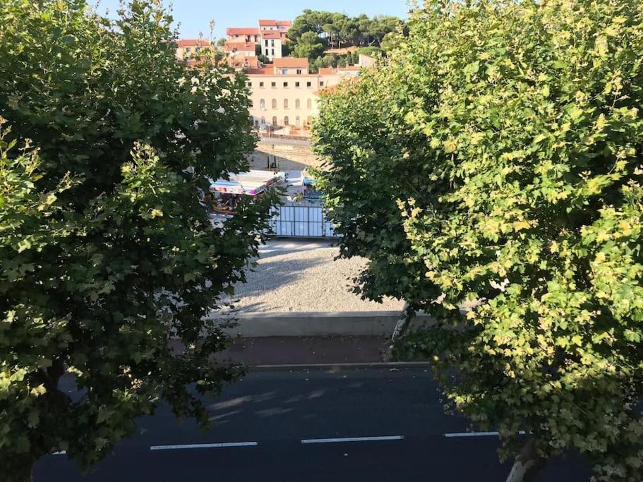 Studio Bon Dia/Balcon/Proche Criques Et Collioure Apartment Port Vendres Exterior foto