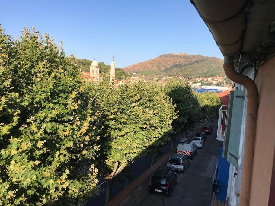 Studio Bon Dia/Balcon/Proche Criques Et Collioure Apartment Port Vendres Exterior foto